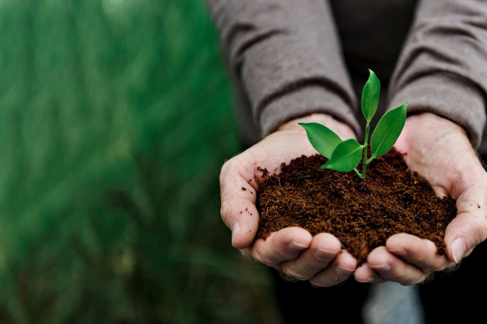 Sustainability & Green Responsibility